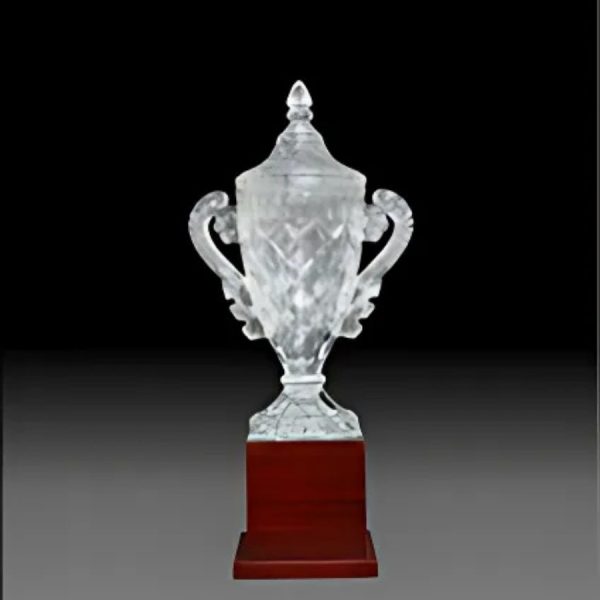 BC-G-293 Crystal Exclusive Trophy – 12 Inch